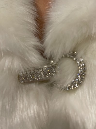 Kısa Kristal Broş Detaylı Gelin Etol Kürk Bolero Kısa Kristal Broş Detaylı Gelin Etol Kürk Bolero