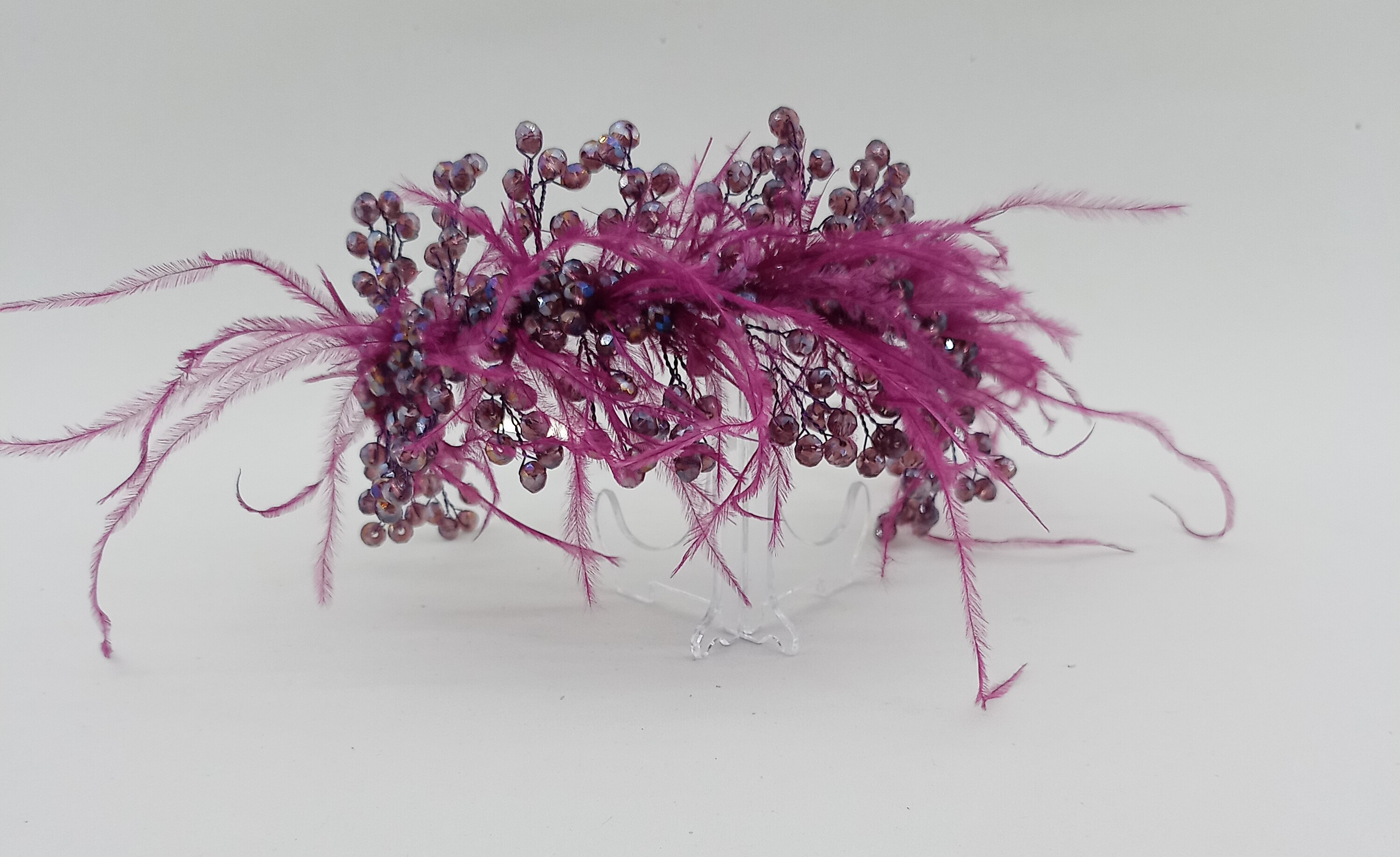 Vişne Çürüğü Vişne Çürüğü